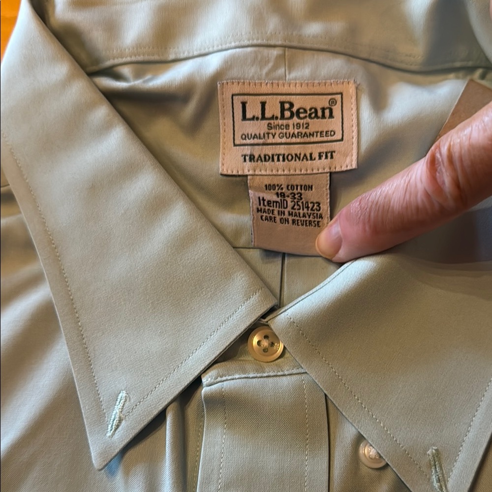 L.L. Bean Classic Fit Shirt in Sage